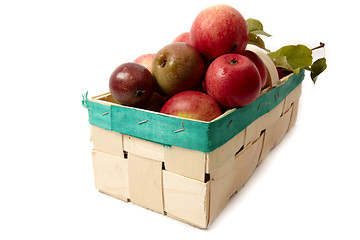 Image showing Basket with apple