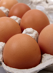 Image showing Eggs in carton