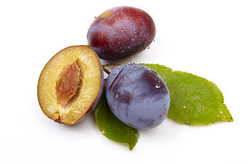 Image showing Plum on white