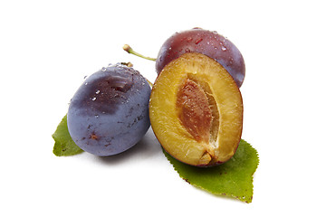 Image showing Plum on white