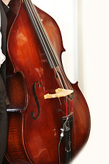 Image showing  double bass 