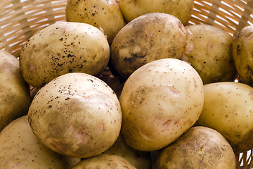 Image showing Fresh Potatoes