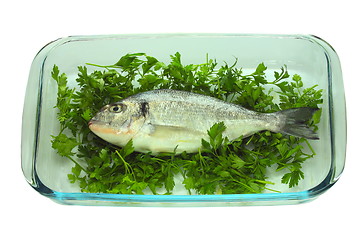 Image showing Fish on a plate