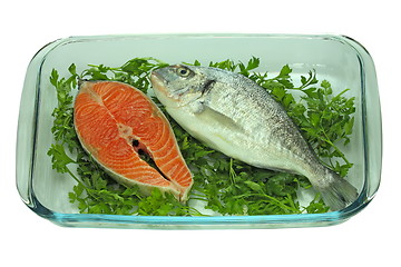 Image showing Fish on a plate