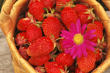 Image showing basket of the strawberries