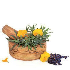 Image showing Lavender Herb and Viola Flowers