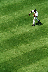 Image showing Baseball Player