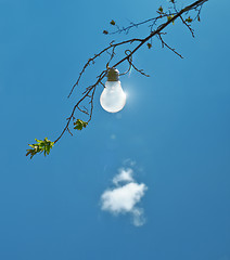 Image showing light bulb in a tree