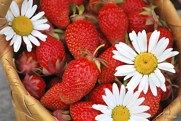 Image showing basket of the strawberries