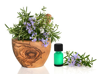 Image showing Medicinal and Culinary Herbs