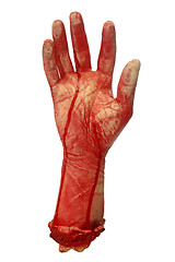 Image showing Bloody hand