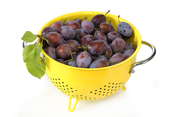 Image showing Fresh plums