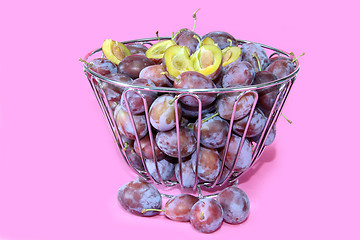Image showing Fresh plums