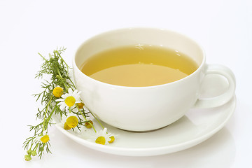 Image showing Camomile tea