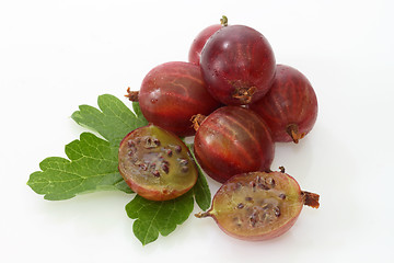 Image showing Gooseberry