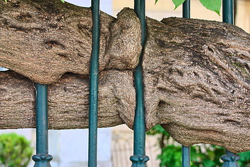 Image showing  Metal fence