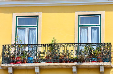 Image showing  two windows on orange vivid wall 