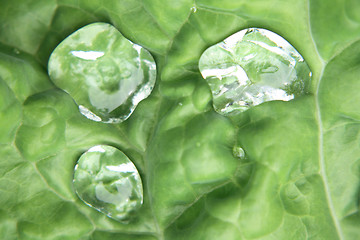 Image showing water drops in green 