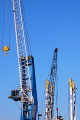 Image showing Cranes