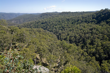 Image showing looking over the forest