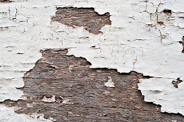 Image showing old peeling paint on wood