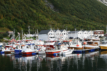 Image showing Fishing boats