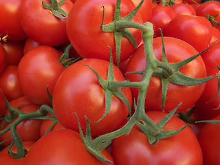 Image showing Tomatoes