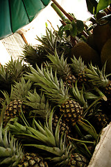 Image showing PINEAPPLE