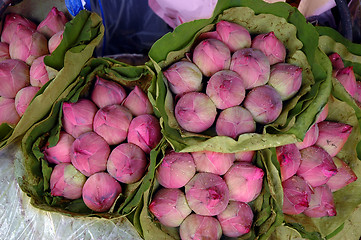 Image showing FLOWERS