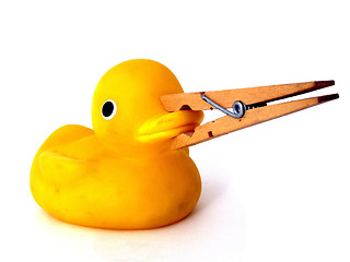 Image showing rubber duck