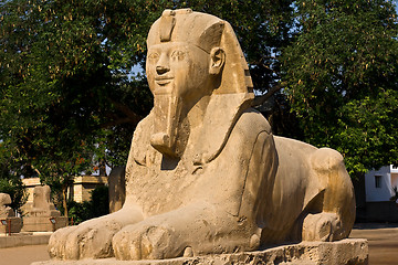 Image showing Sphinx