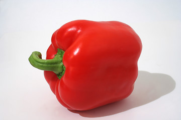 Image showing One red pepper