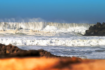 Image showing Drift Wood