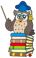 Image showing Wise owl teacher on books