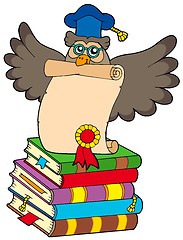 Image showing Wise owl with diploma and books