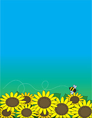 Image showing Sunflowers