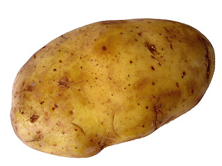 Image showing potato