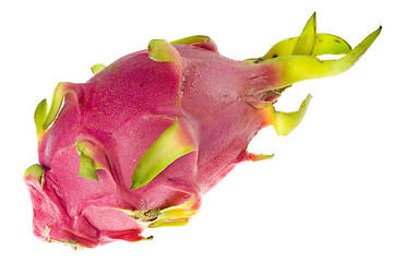 Image showing Tropical fruit - Pitaya