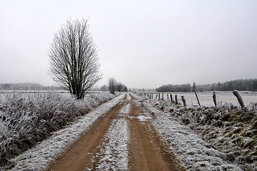 Image showing Winter road