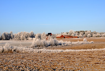 Image showing Farm and field