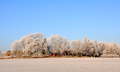 Image showing Fields and farm