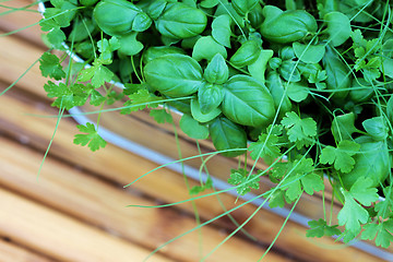 Image showing herbs