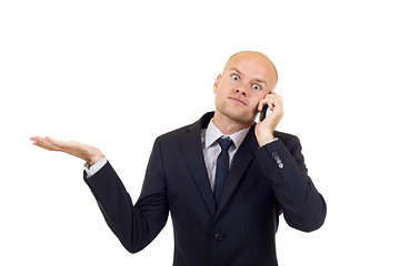 Image showing businessman on the phone 