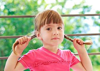 Image showing Little girl with two plaits