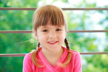 Image showing Little girl with two plaits