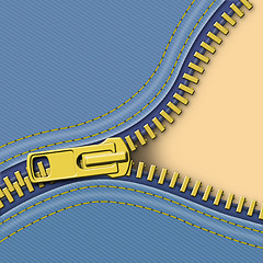 Image showing Zipper Background