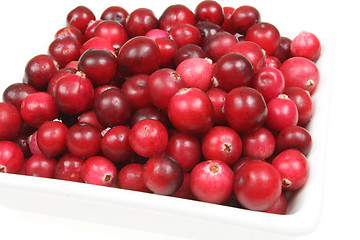 Image showing Cranberries.