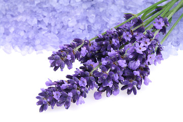 Image showing Lavender and salt