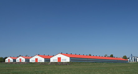 Image showing Poultry farm