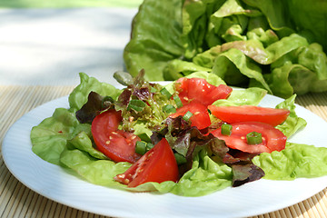 Image showing Salad.